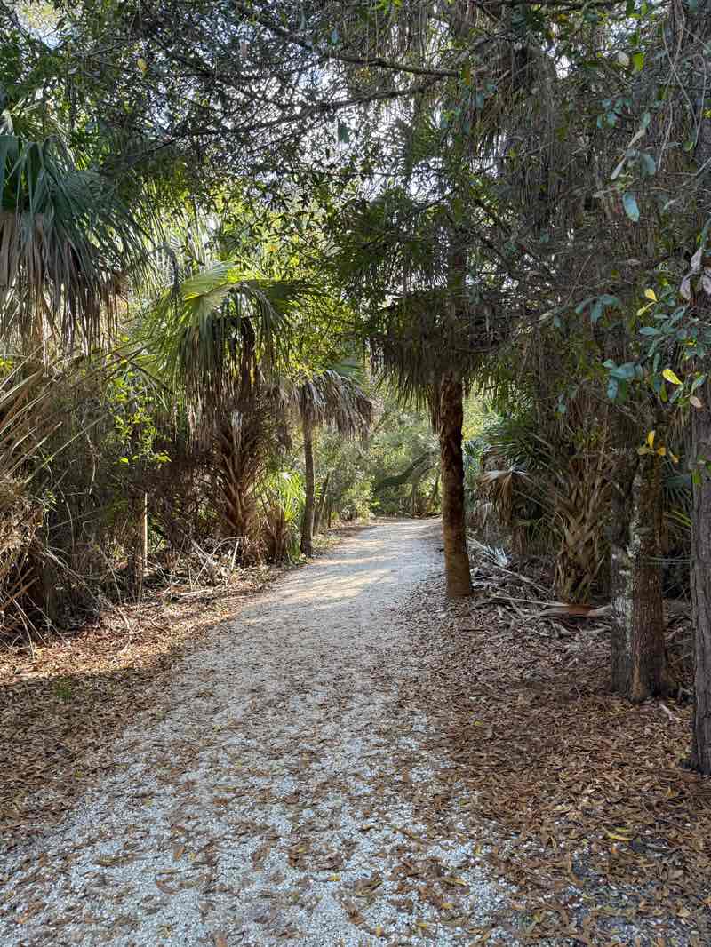 walking near me in Cullum's Bonita Trail in winter
