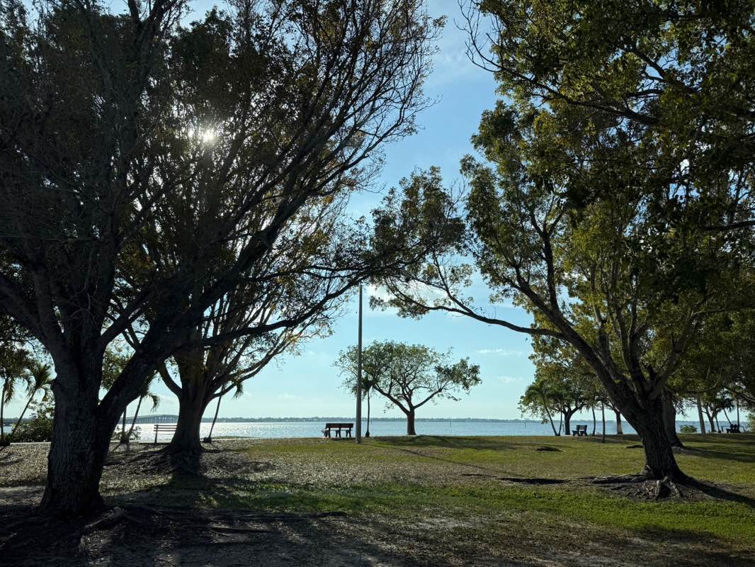 walking near me in Horton Park in winter