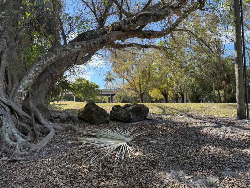 walking near me in Veterans Memorial Park in winter