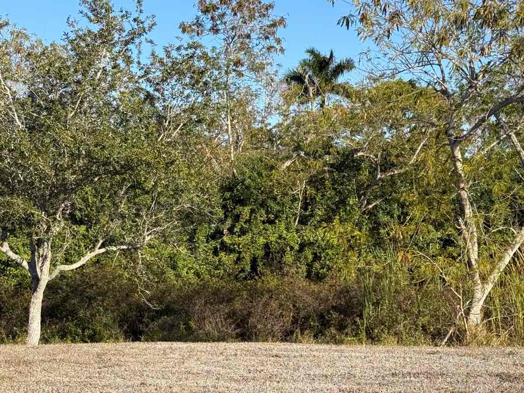 walking near me in Kelly Road Soccer Complex in winter