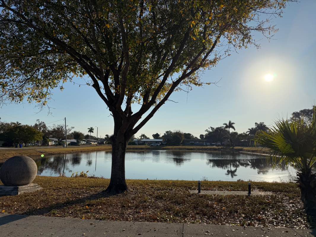 walking near me in Manor Park in winter