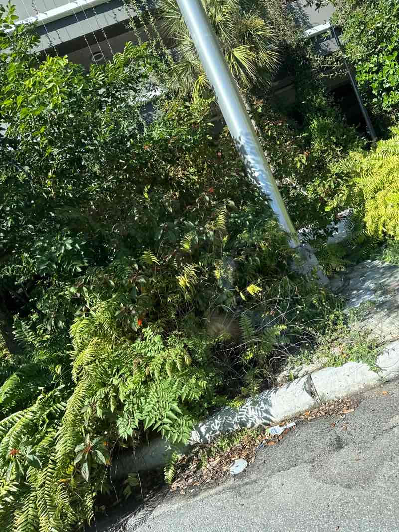 walking near me in Marie Selby Botanical Gardens in autumn