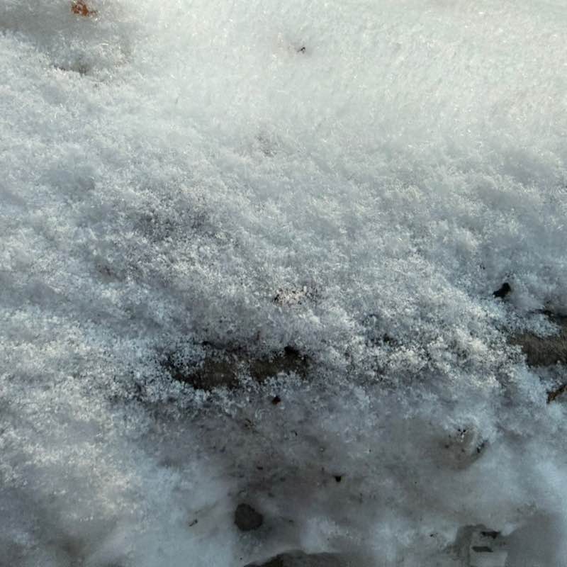 Walking Club Milan post image