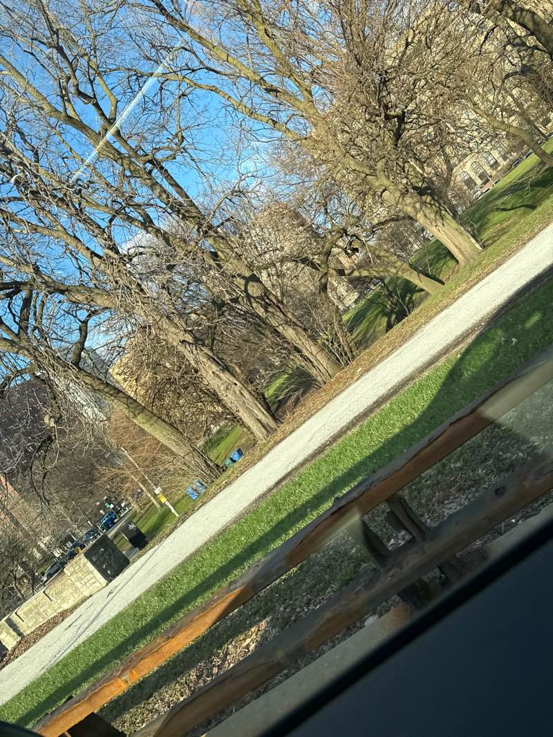 walking near me in Burnham Park in spring