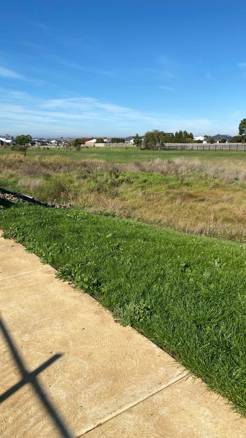 walking near me in Brierly Park in winter