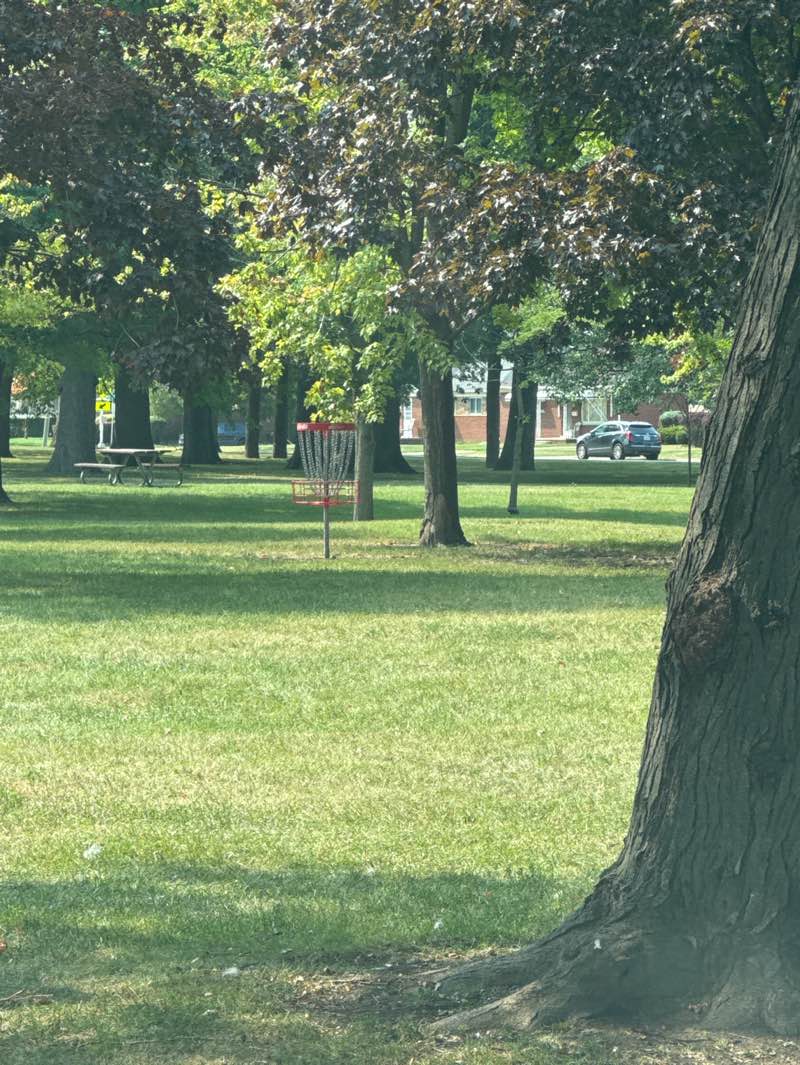 walking near me in Spindler Park in summer