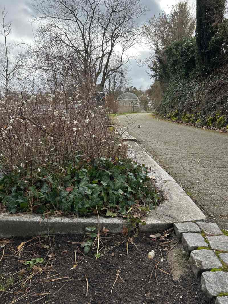 walking near me in Weißenburgpark in winter