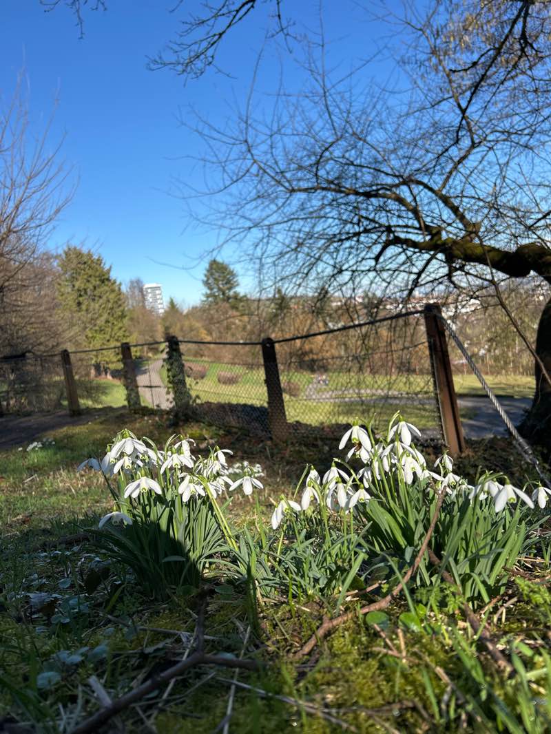 walking near me in Wartberg in winter