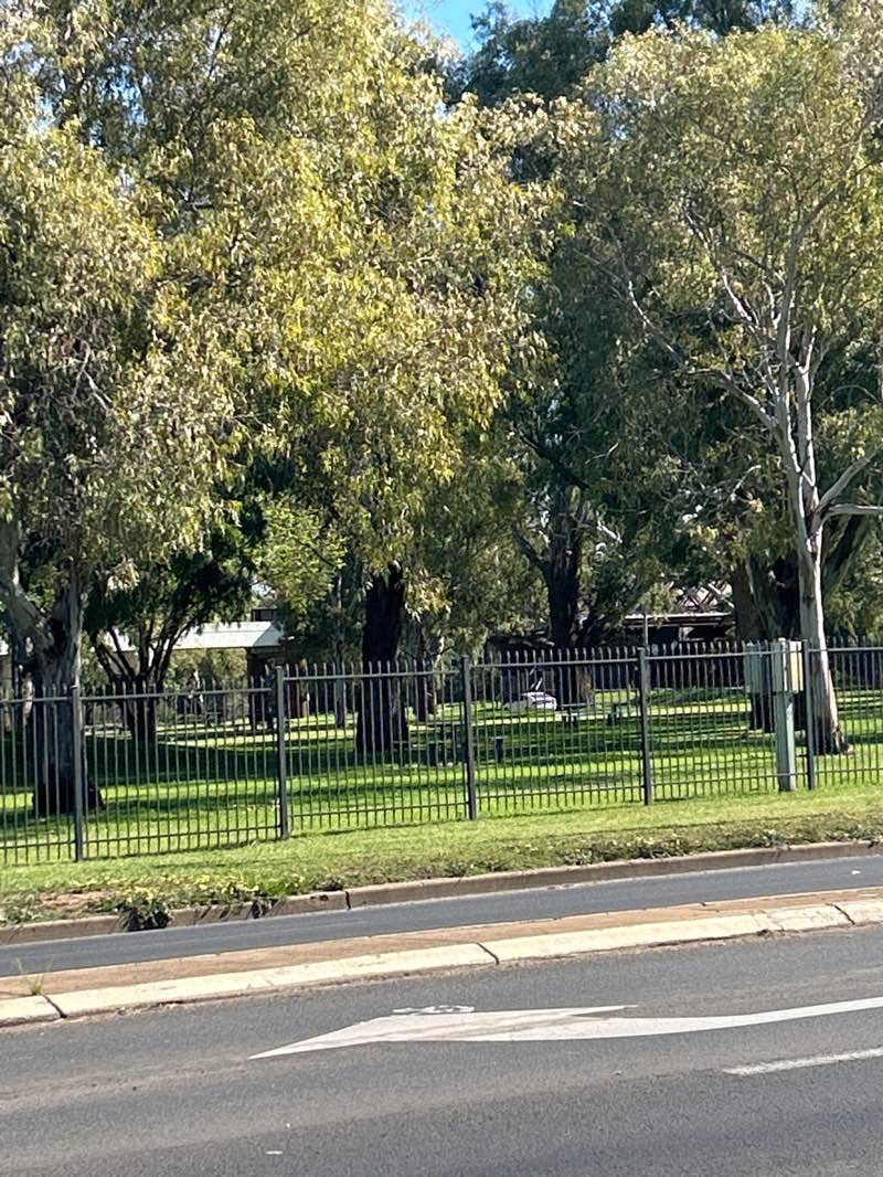 walking near me in Macquarie Lions Park in spring