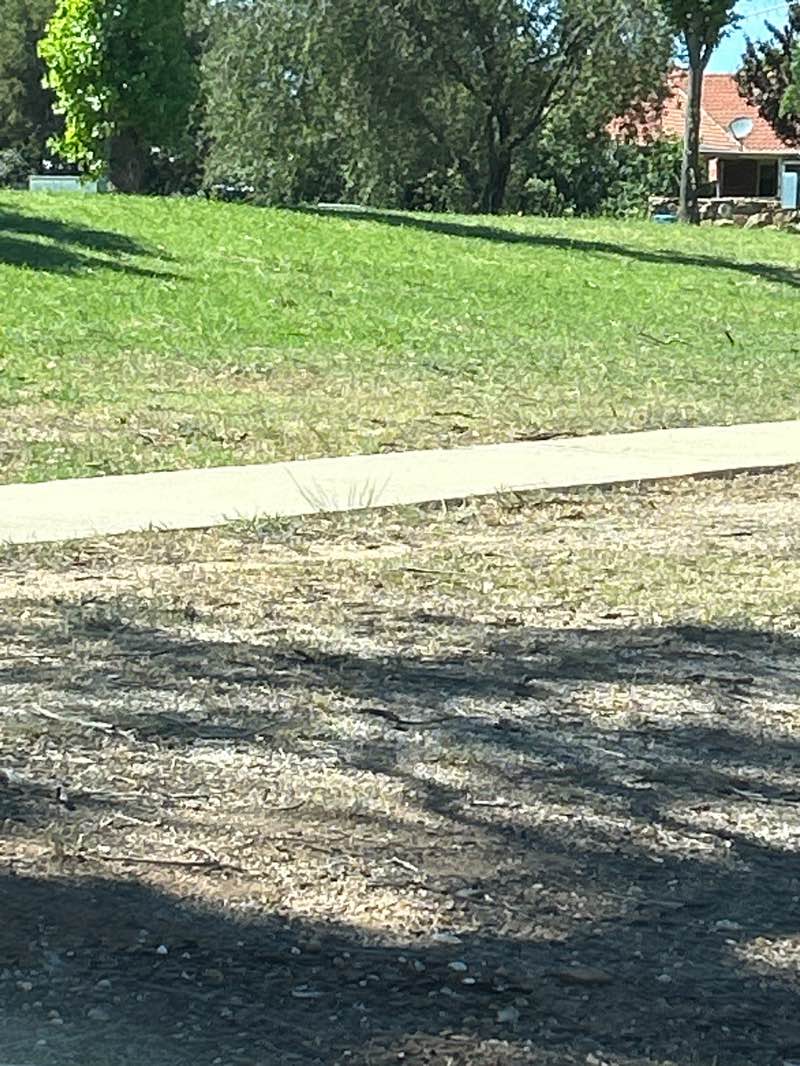 walking near me in Turnberry Park in spring