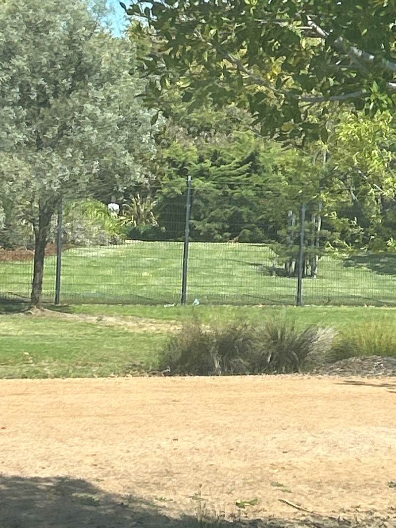 walking near me in Dubbo Regional Botanic Garden in spring