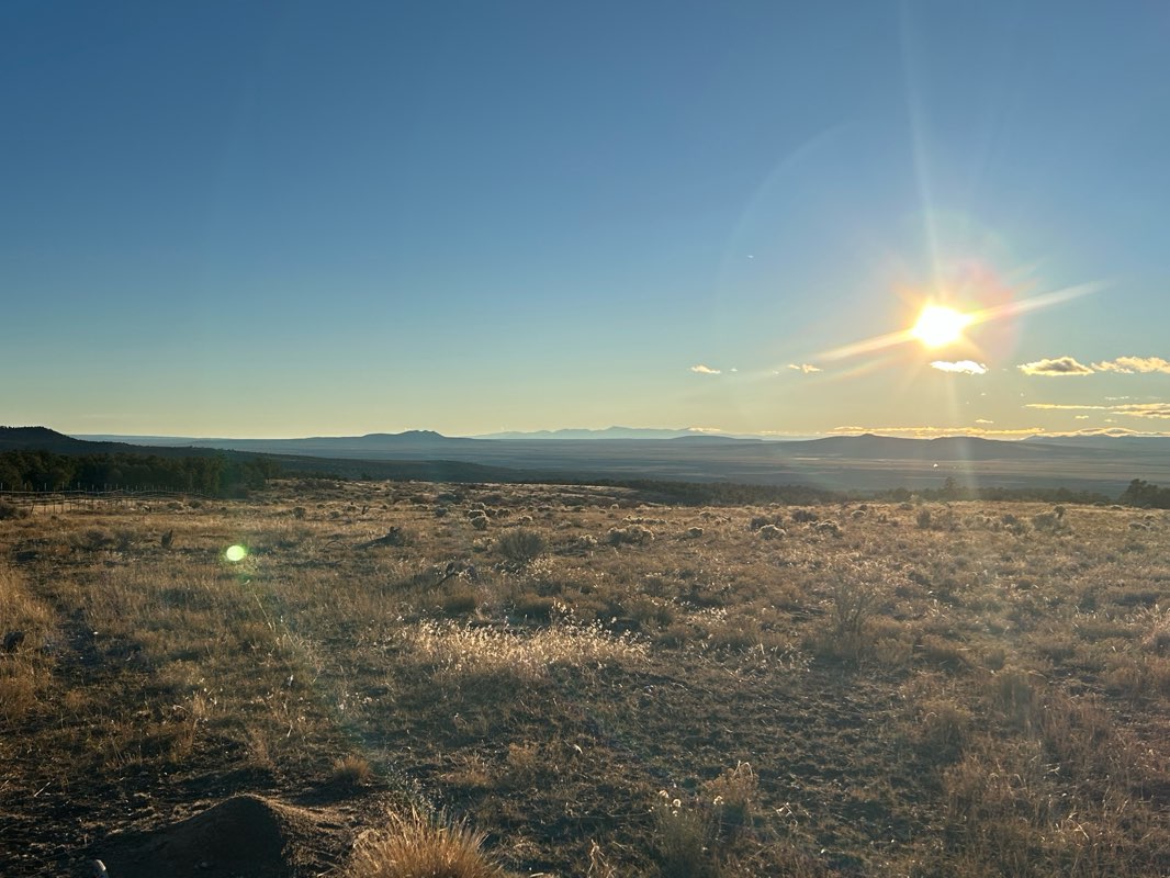 walking near me in Carson National Forest in autumn
