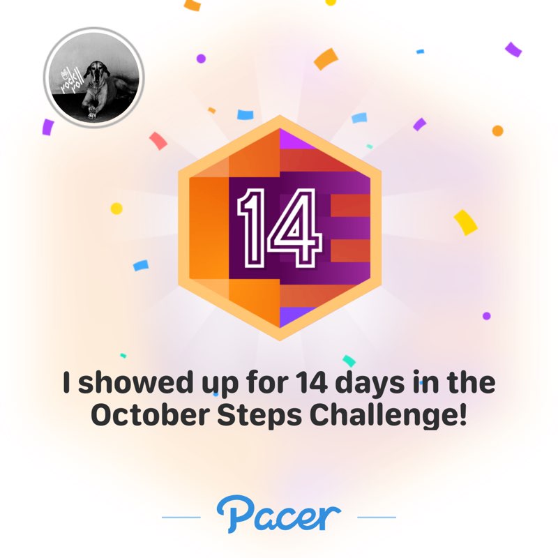 Sharan Shetty post 1