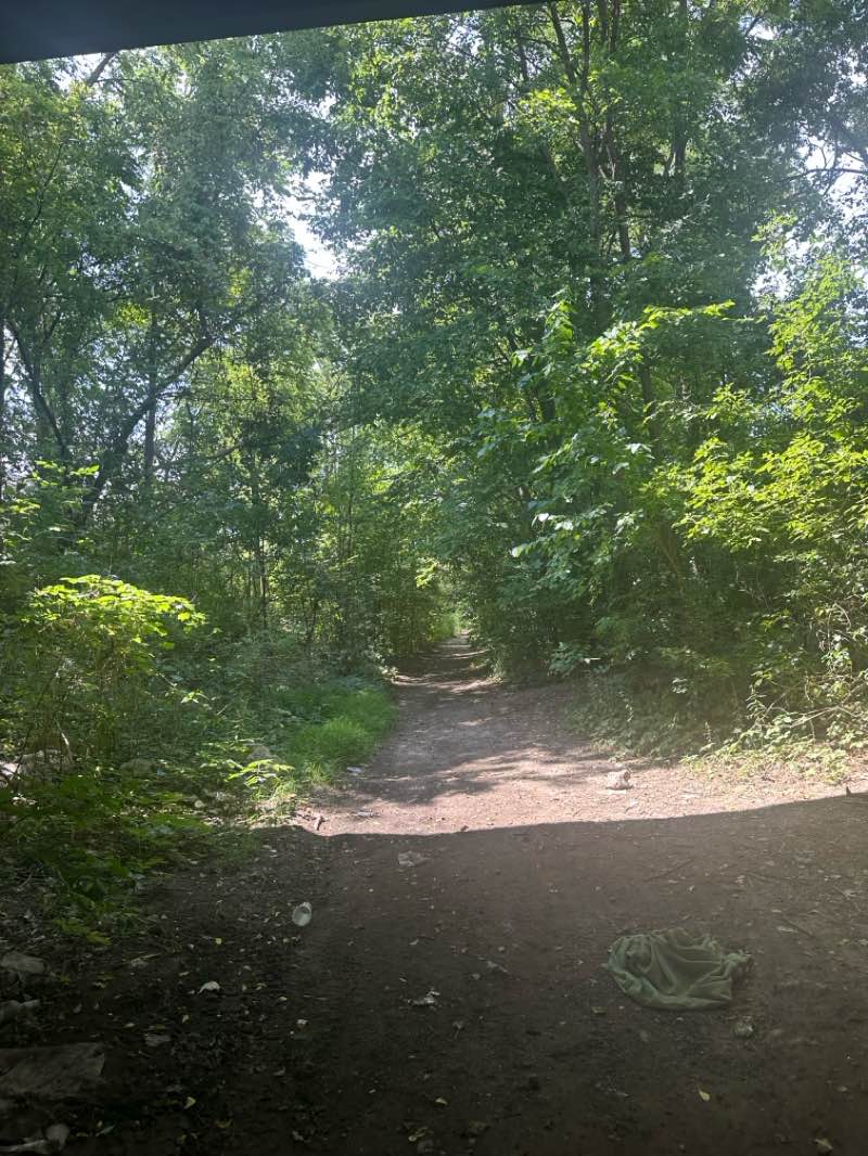 walking near me in Jaycee Park in autumn