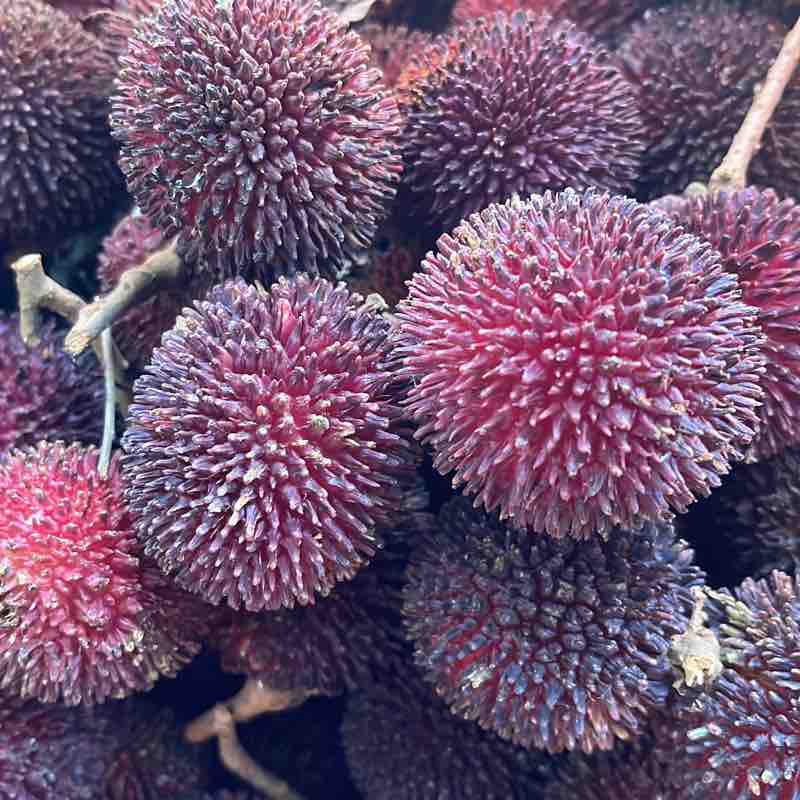 Mohammad Fadhli post 1