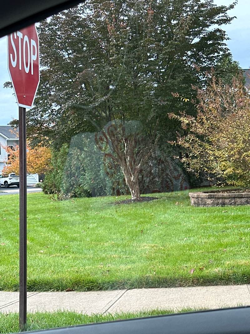 walking near me in Abraham Park in autumn