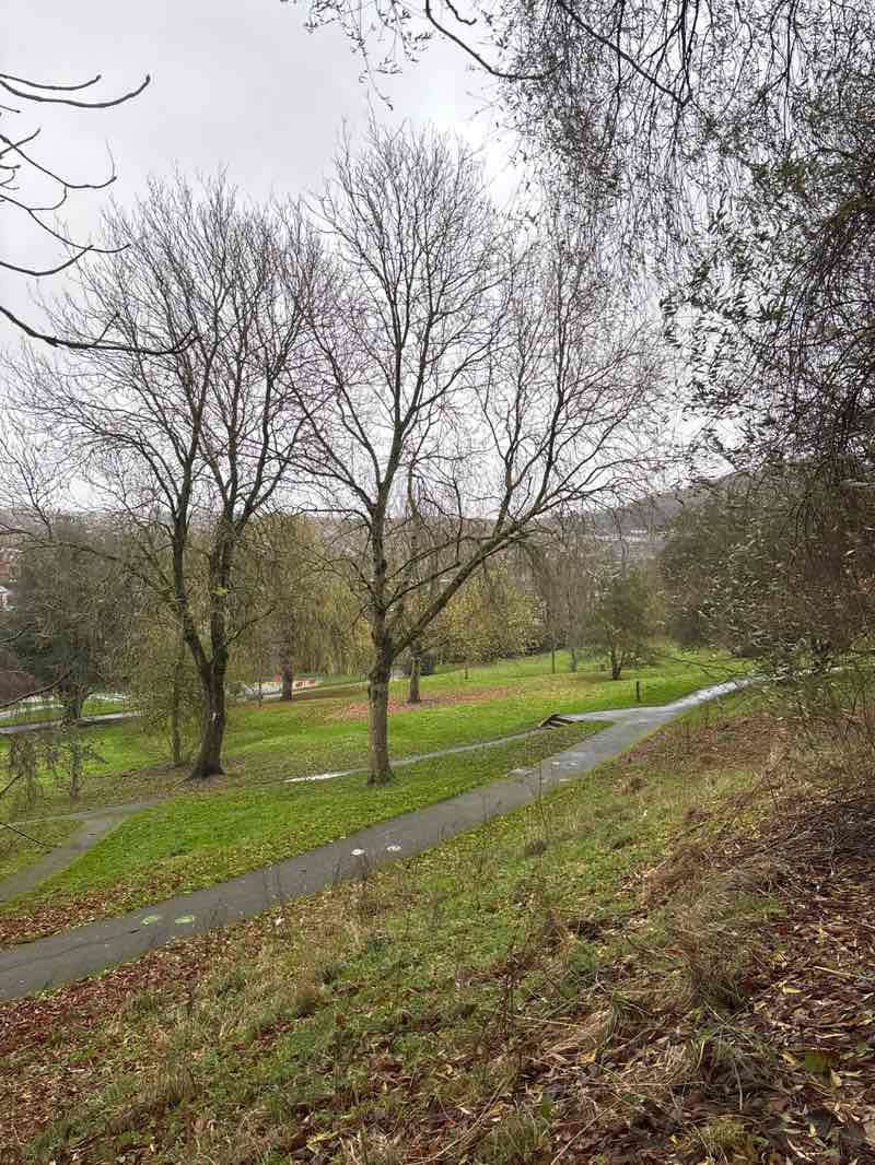 walking near me in Falsgrave Park in autumn
