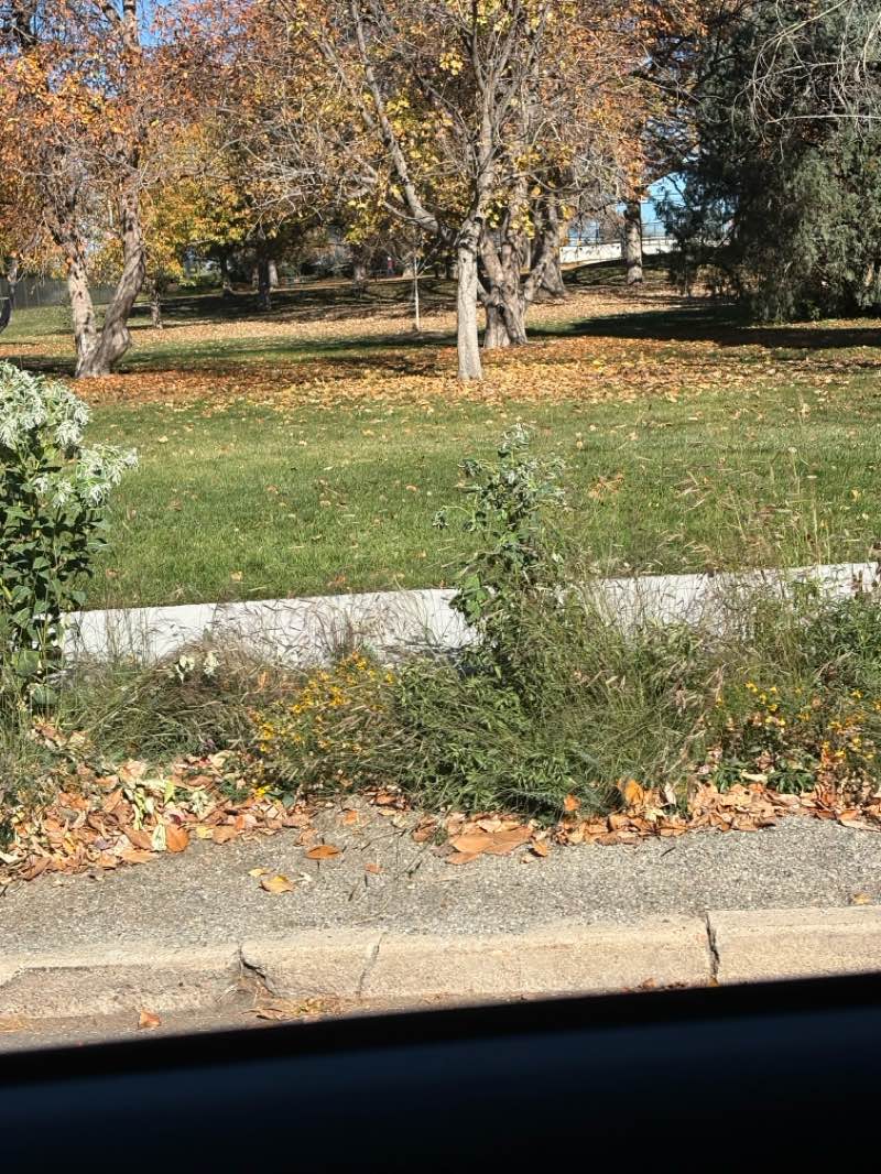 walking near me in Washington Park in autumn