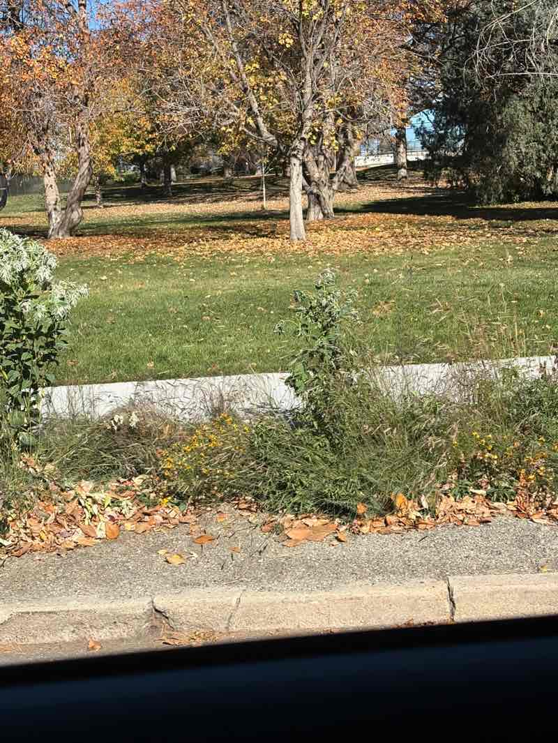 walking near me in Congress Park in autumn