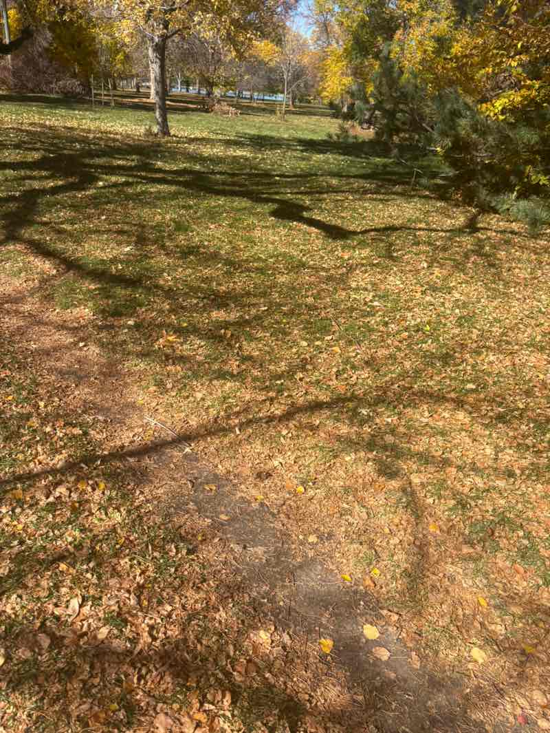 walking near me in City Park in autumn