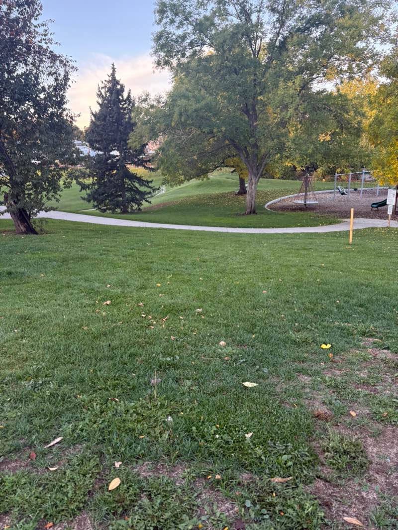 walking near me in Rotolo Park in autumn