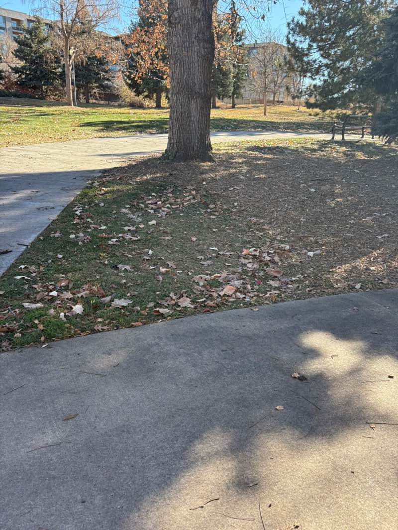 walking near me in Bega Park in autumn