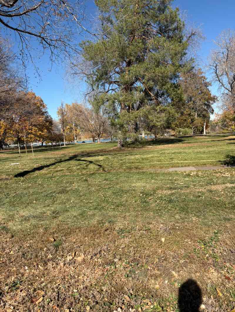 walking near me in City Park in autumn