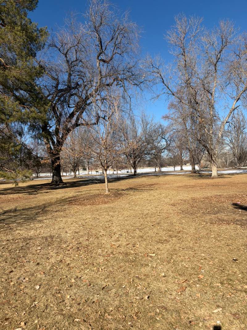 walking near me in City Park in winter