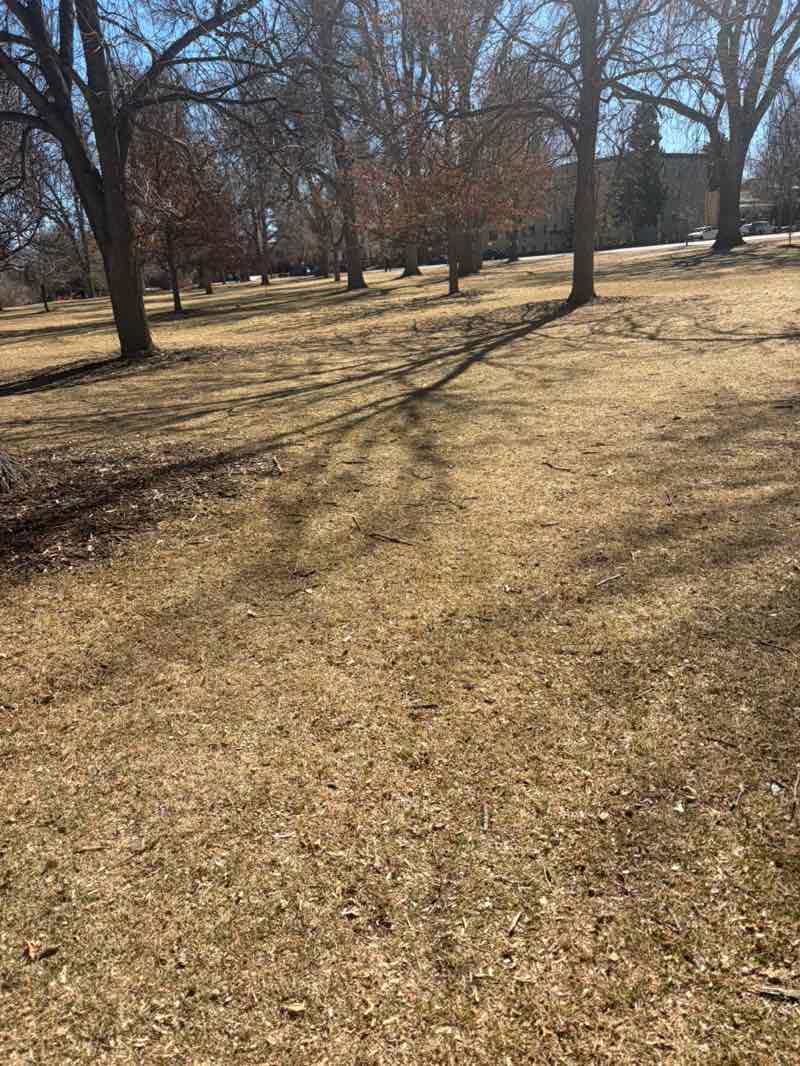 walking near me in City Park in spring