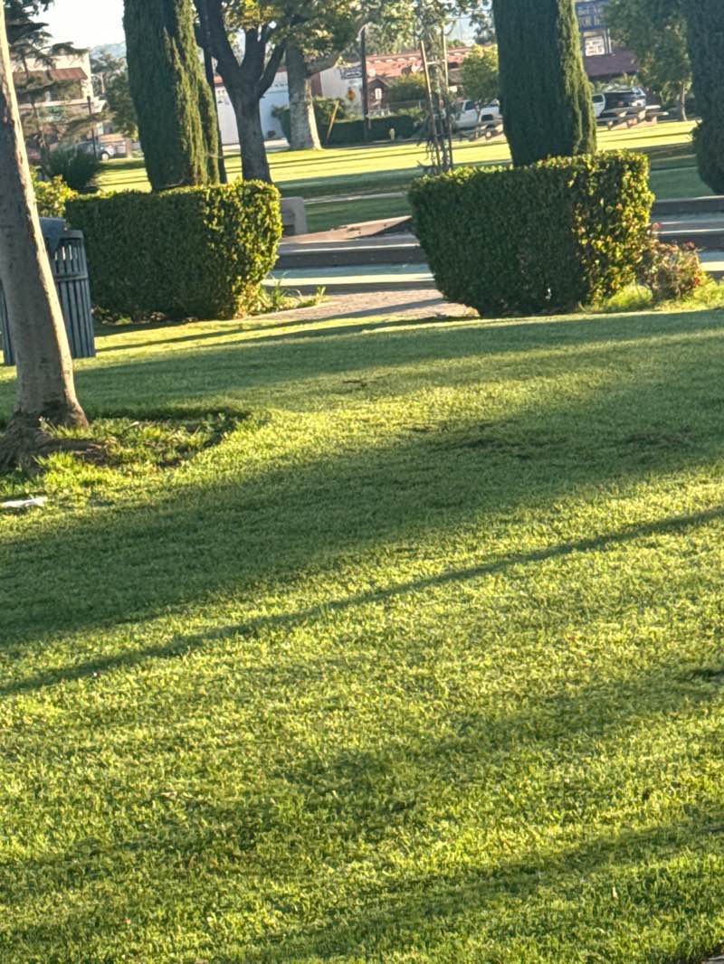 walking near me in Pepper Tree Park in spring