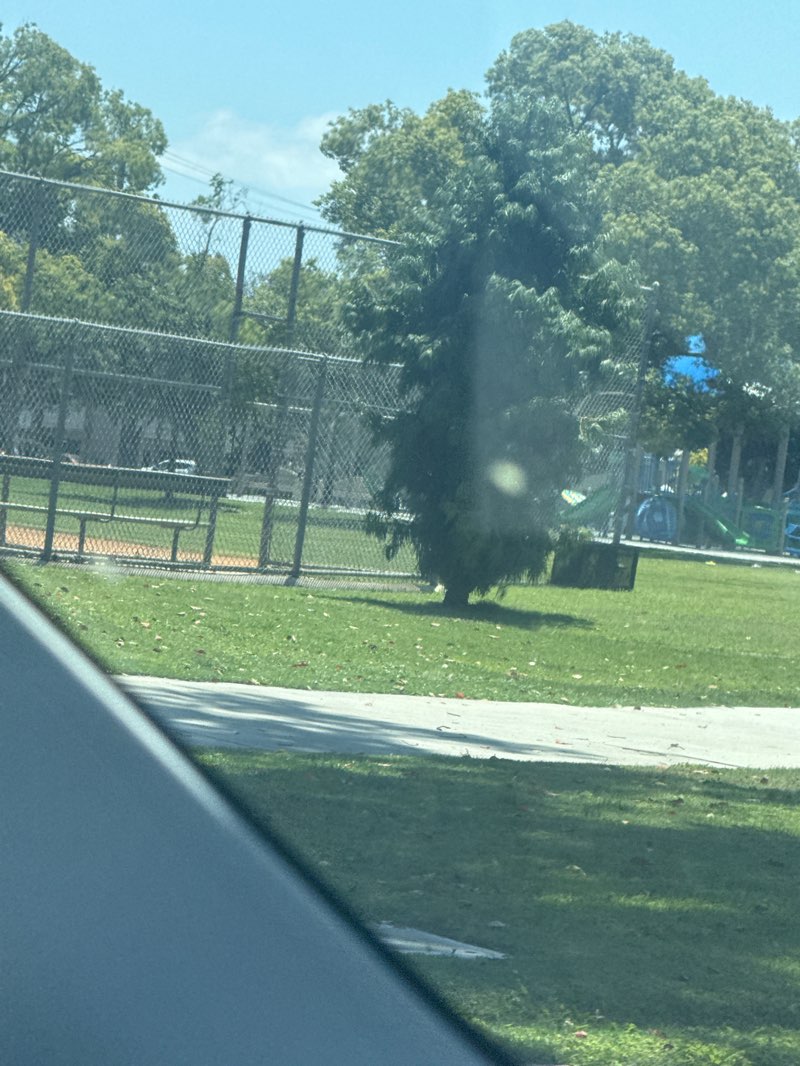 walking near me in Pepper Tree Park in summer