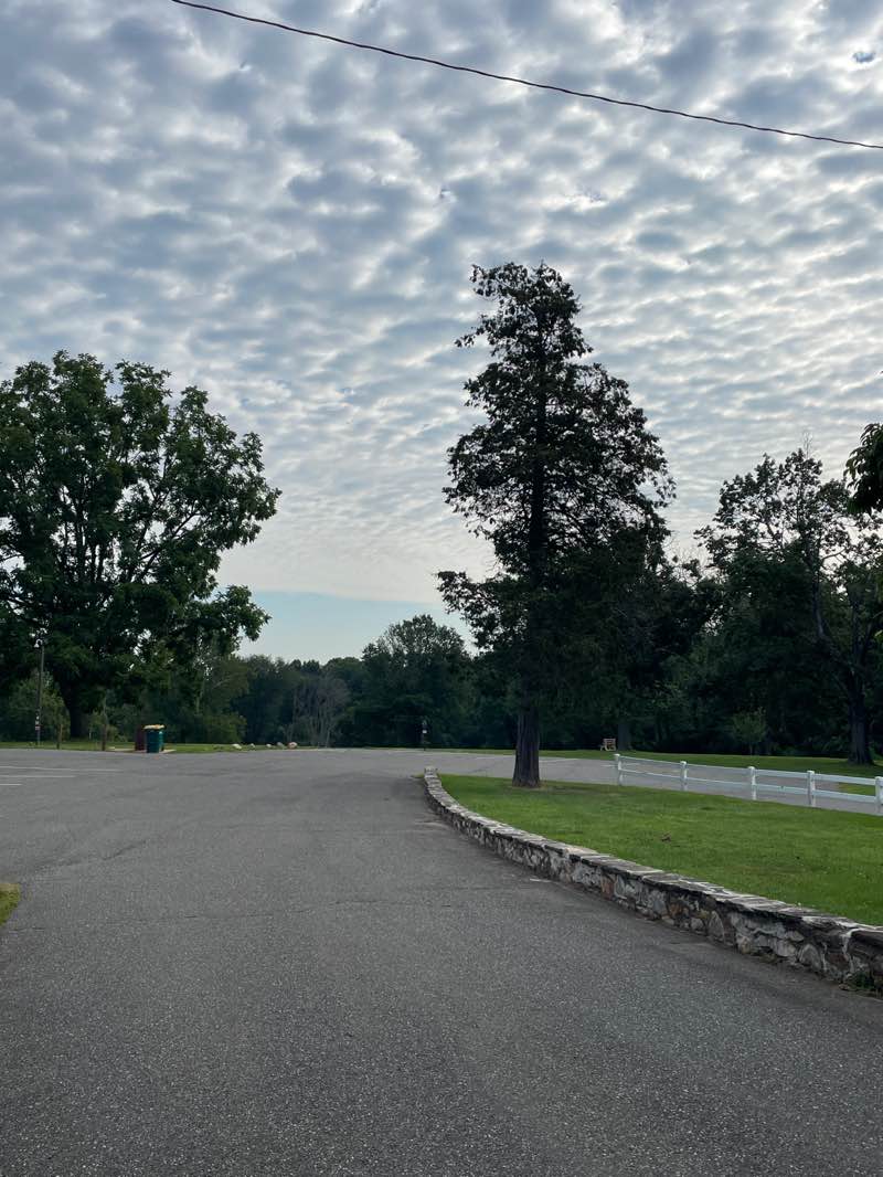 walking near me in Rose Tree Park in autumn