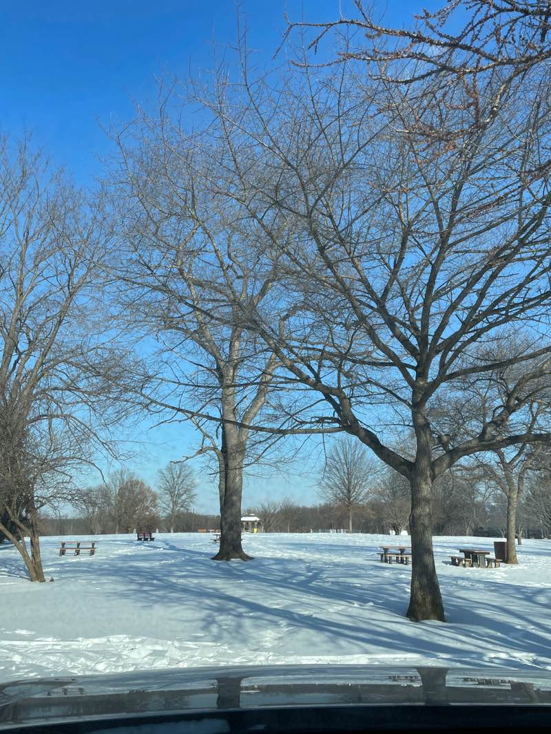 walking near me in Rose Tree Park in winter