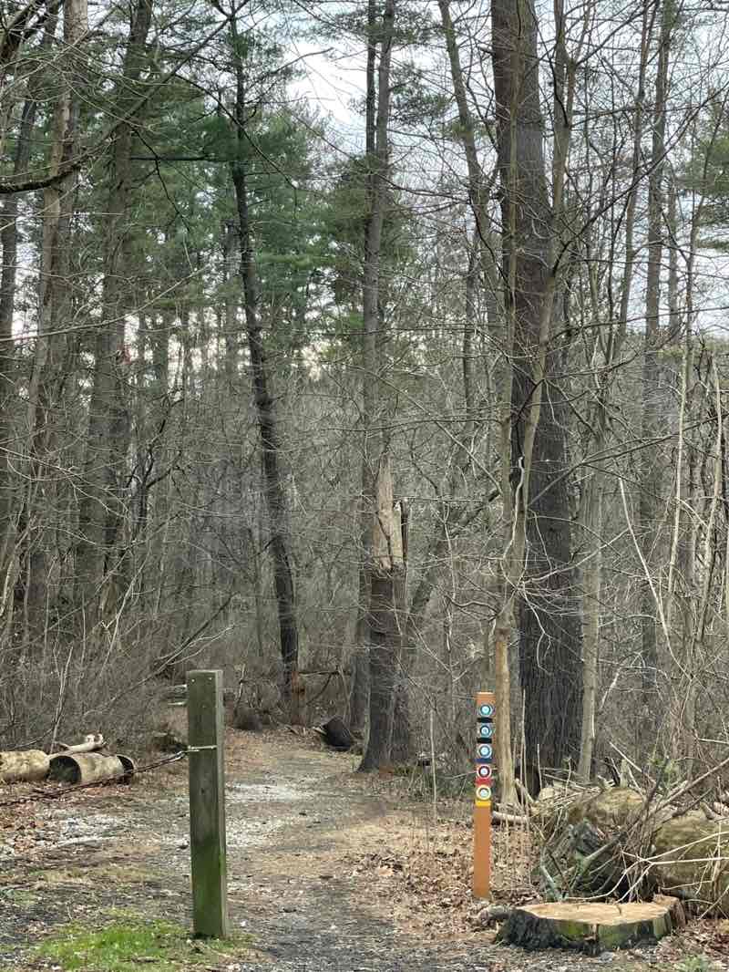 walking near me in Louis Scott Memorial Park in winter