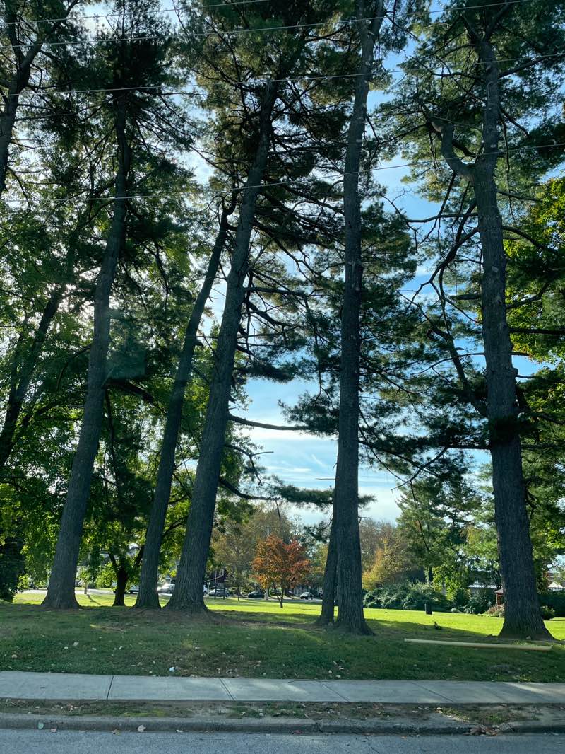 walking near me in Wagner Wayside Park in autumn