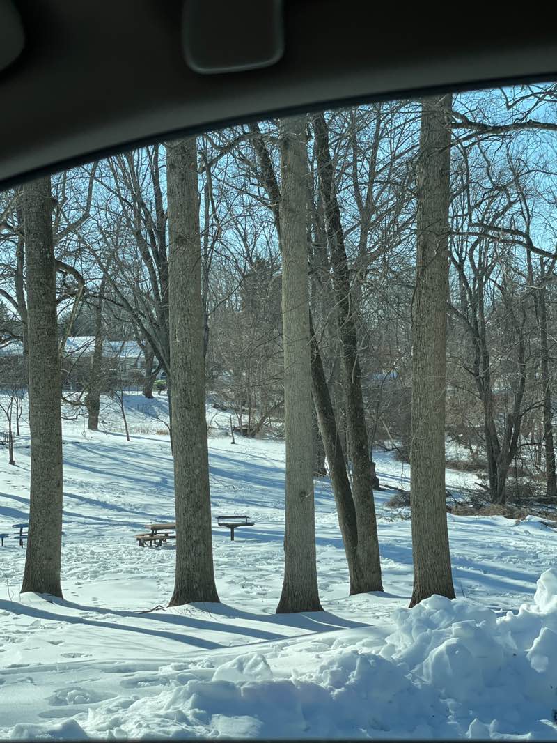walking near me in Marple Gardens Park in winter