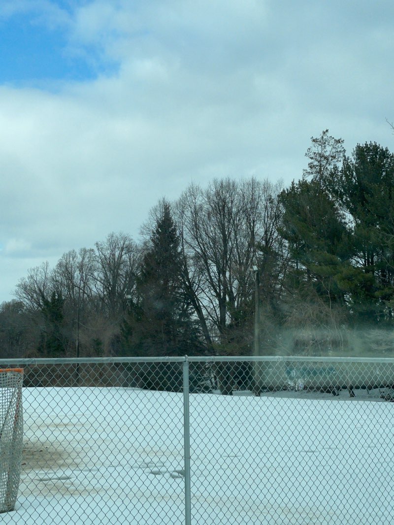 walking near me in Memorial Park in winter