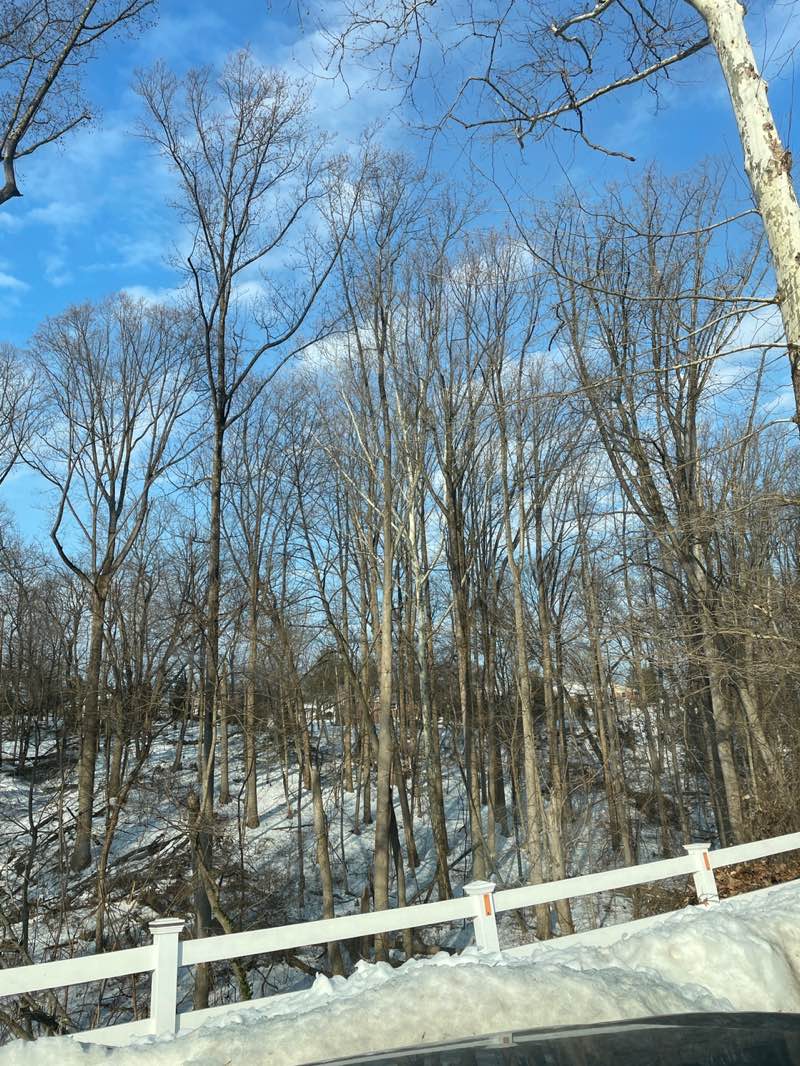 walking near me in Woodland Park in winter