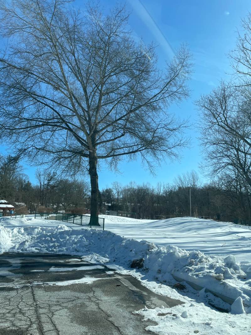 walking near me in Merry Place in winter