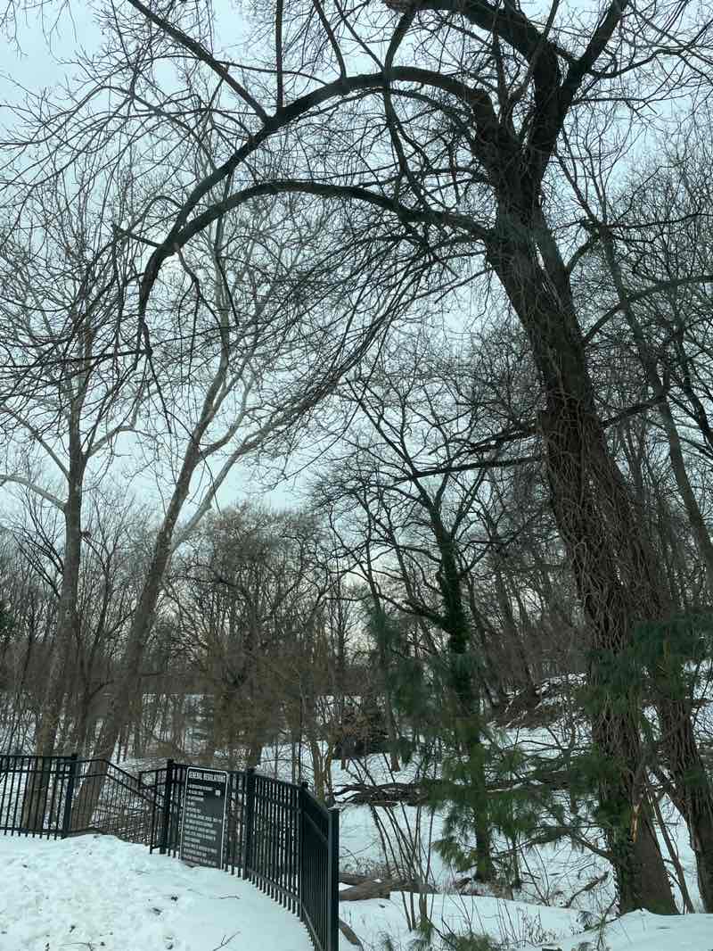 walking near me in Houtman Park in winter