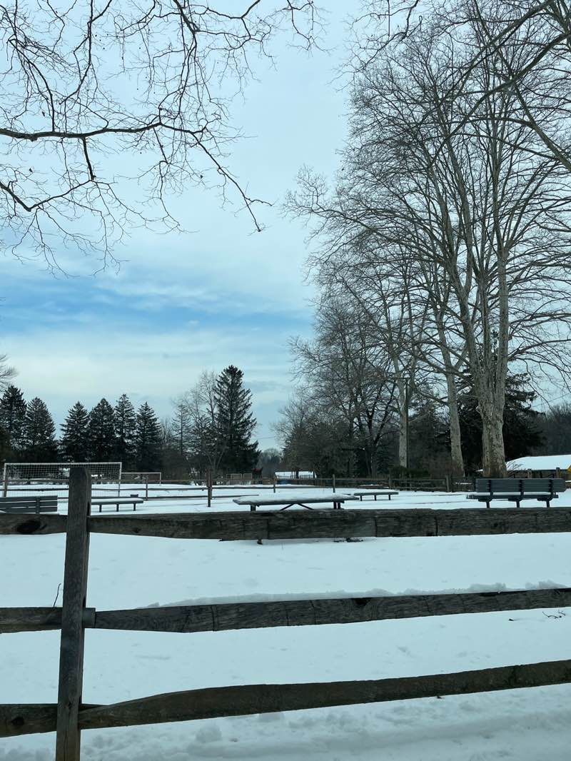 walking near me in Drexel Lodge Park in winter