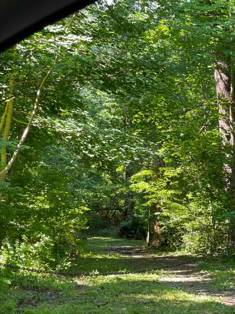 walking near me in Louis Scott Memorial Park in summer