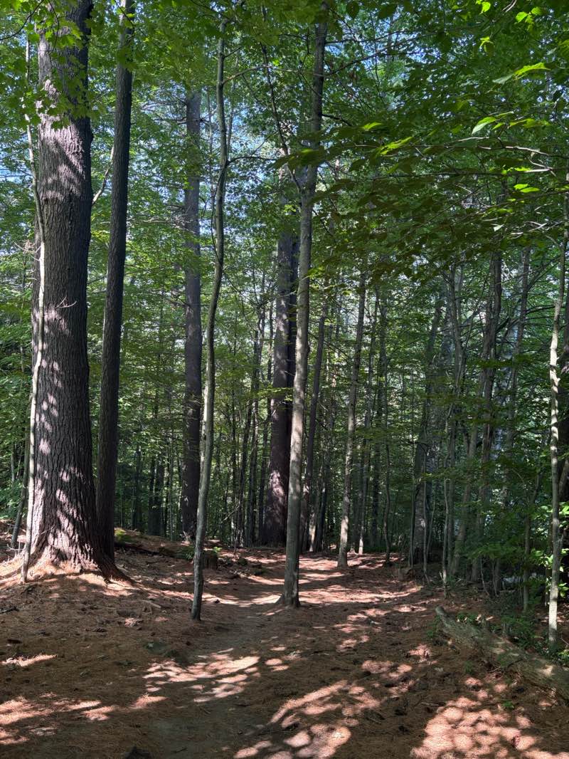 walking near me in Norwich Green in autumn