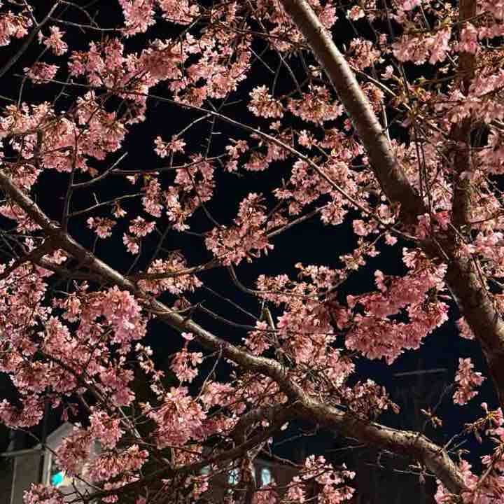 Наталья post 2