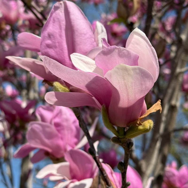 Наталья post 2