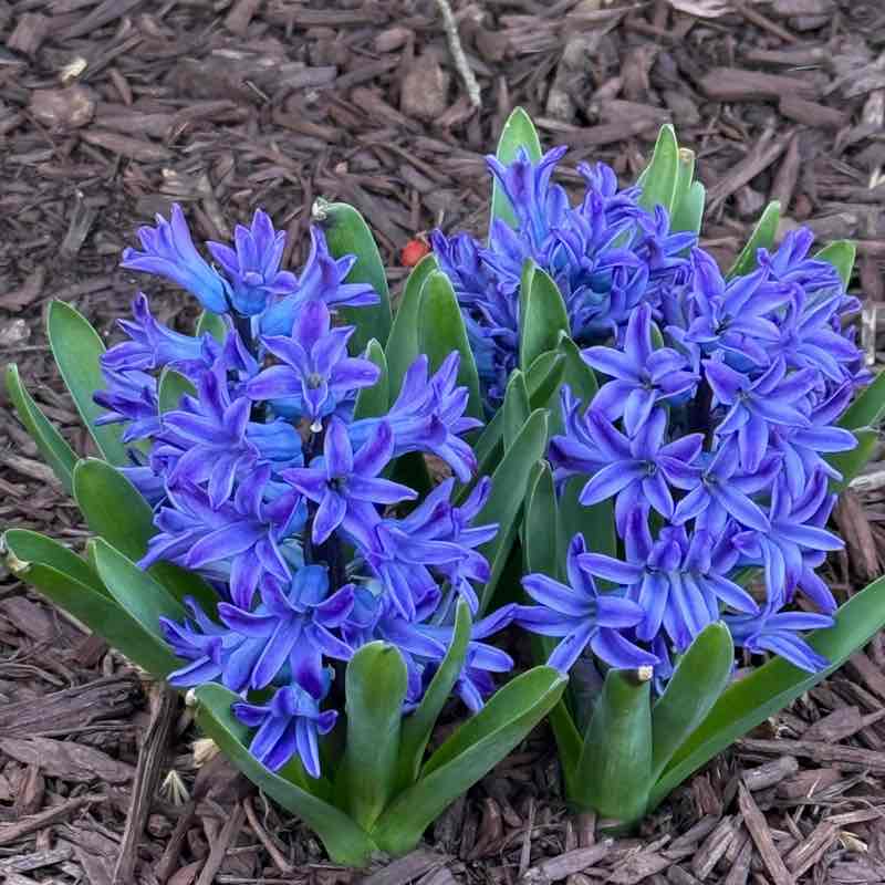 Наталья post 3