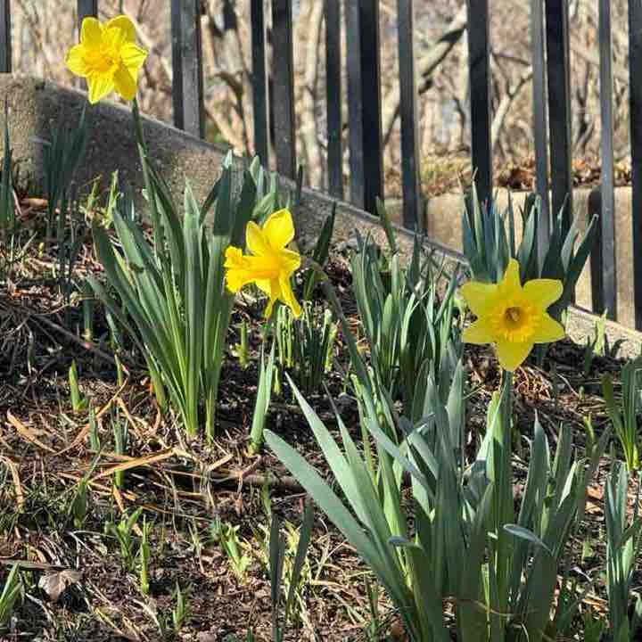 Наталья post 2