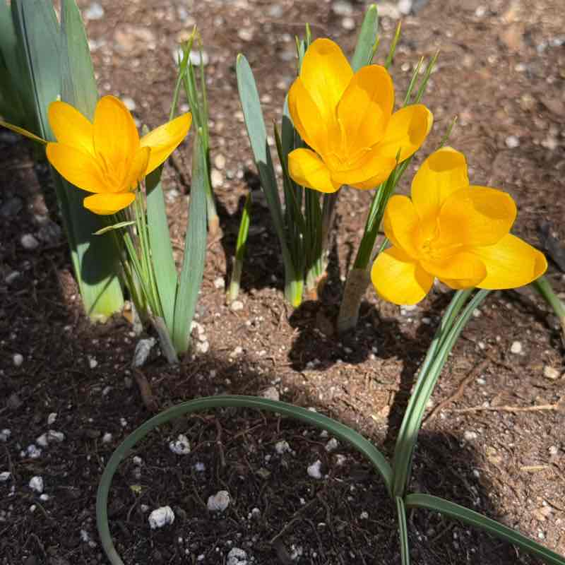 Наталья post 1