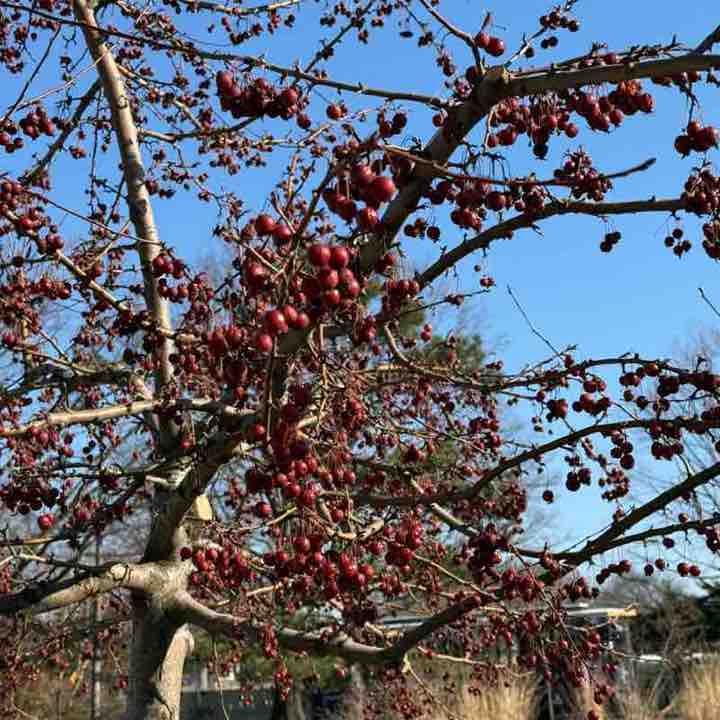 Наталья post 3