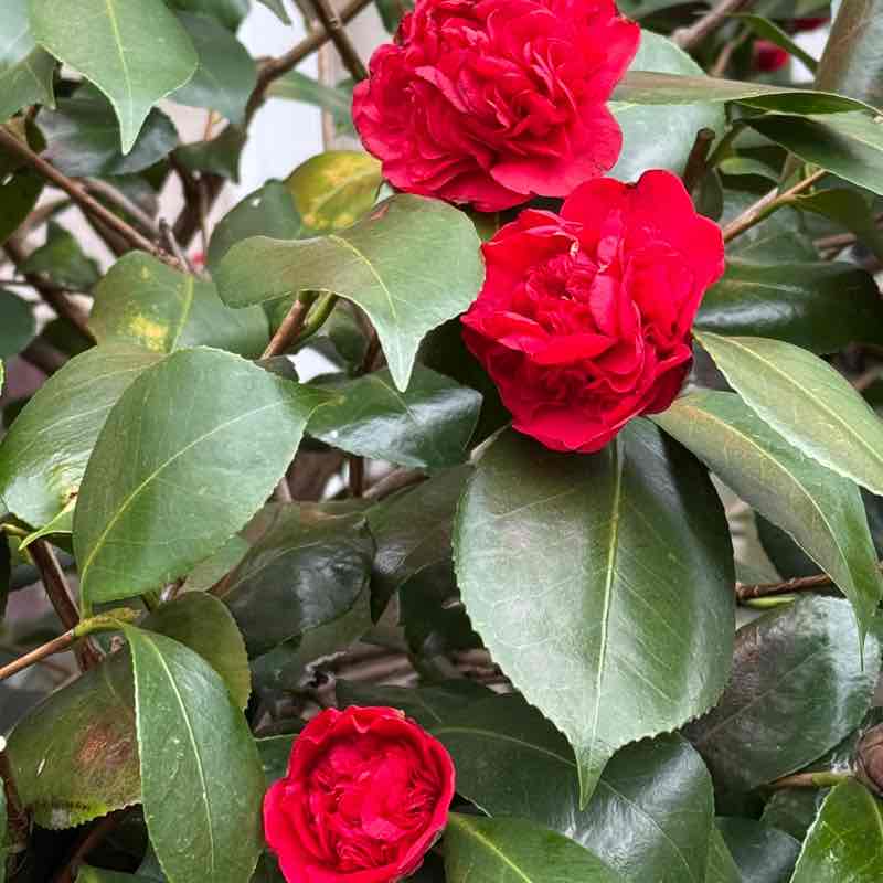 Наталья post 3